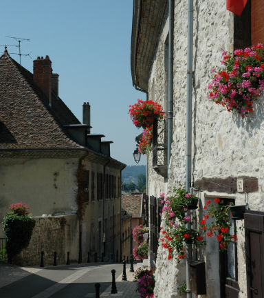 Porte murine - OTSI Morestel