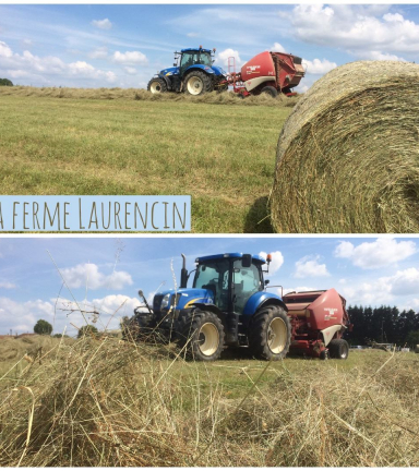 Ferme Laurencin