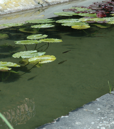 Lavoir Vignieu - OTSI Morestel