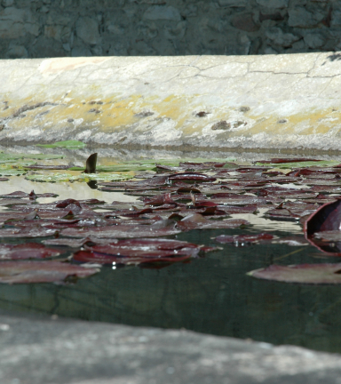 Lavoir Vignieu - OTSI Morestel