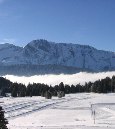 Photo du plateau de l'Arselle