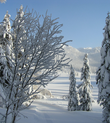 Photo du plateau de l'Arselle Chamrousse