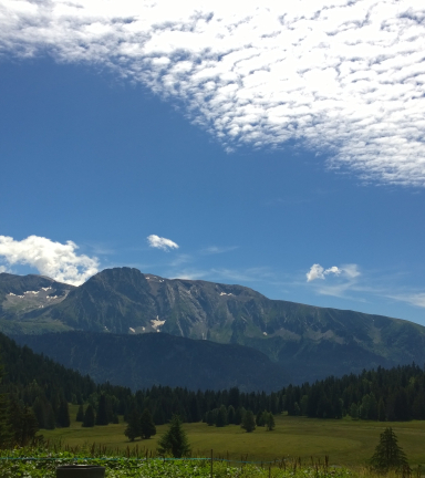 Photo plateau de l'Arselle