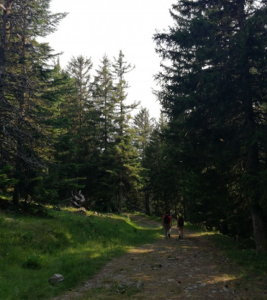 Sentier plateau de l'Arselle