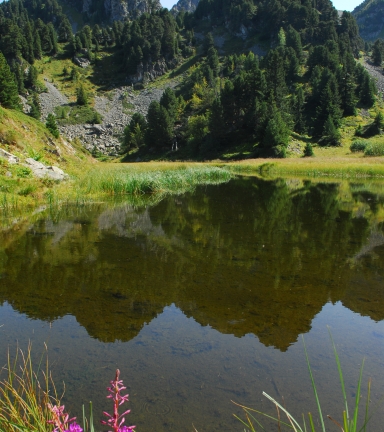 Image lac des Pourettes