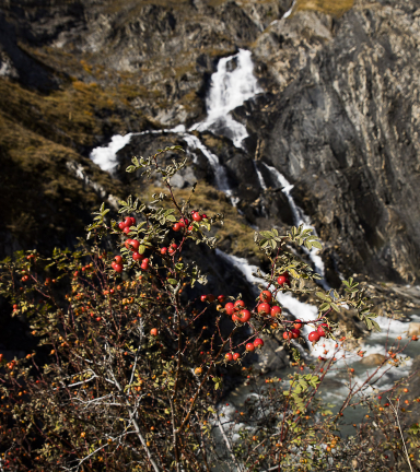 Cascade de pont Ferrand avec les couleurs d'automne