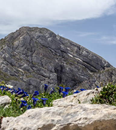 Vue sur la Moucherolle