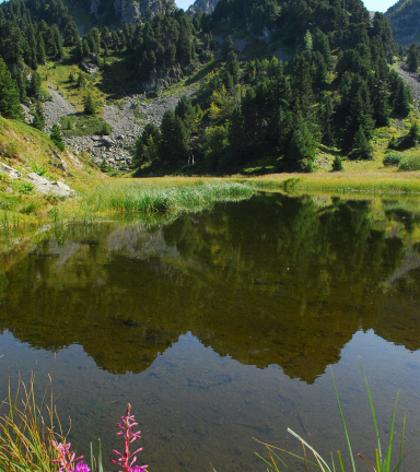 Photo lac Pourettes Chamrousse