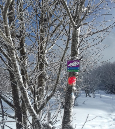 Col d'Ornon - Parcours d'orientation hiver