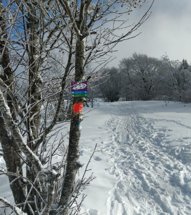 Col d'Ornon - Parcours d'orientation hiver