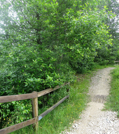 De Beauregard aux Michallons par la Grande Traverse du Vercors (GTV)