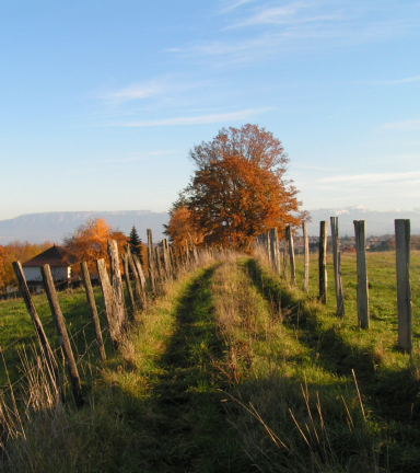 Randonne Chlieu par monts et ruisseaux