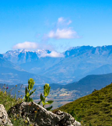 Depuis le Col Astier