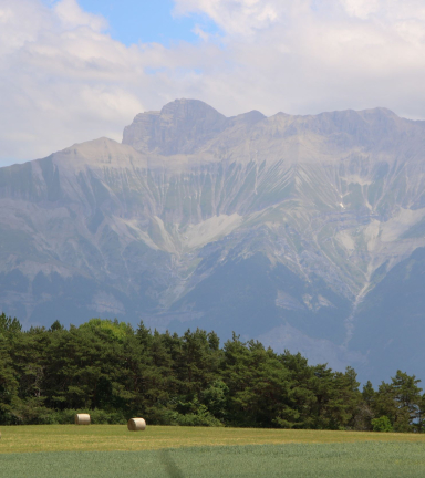 Depuis le chemin