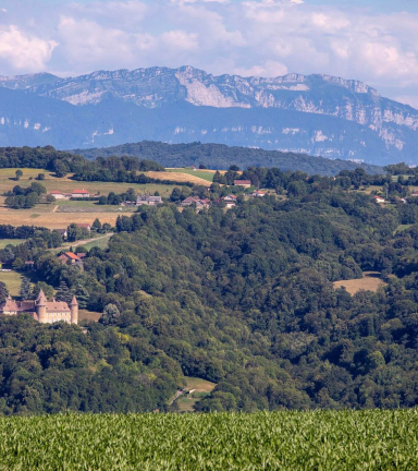 Randonne Les Trois Croix - vue chteau de Virieu et Chartreuse