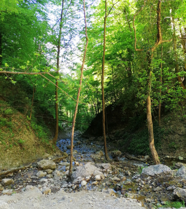 Chemin d'accs  la cascade