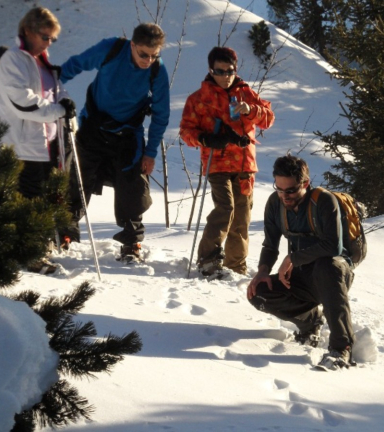 Explication traces animaux