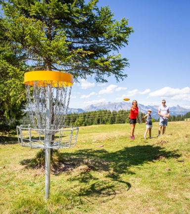 Frisbee golf image