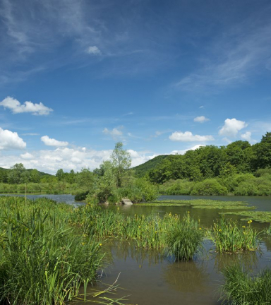 ENS Etang de Marsa et pelouse sche