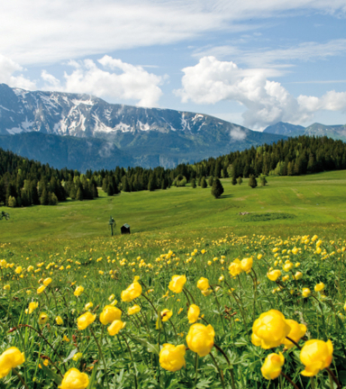 Photo Plateau de l'Arselle