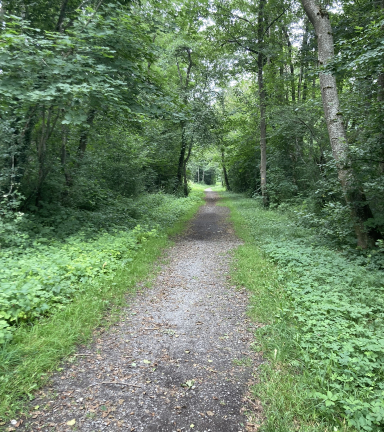 Le sentier du bord du lac de Pierre-Chtel