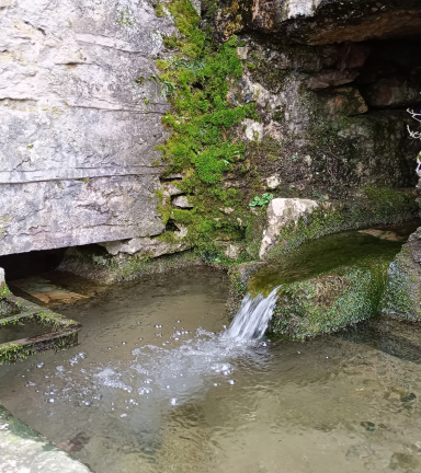 Vue depuis le lavoir de Senin - Parmilieu - Balcons du Dauphin