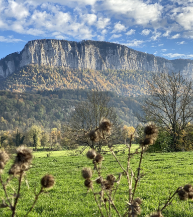 Vue sur le massif de Chartreuse