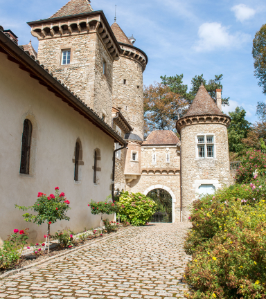 Chteau Teyssier de Savy - Saint-Chef - Balcons du Dauphin