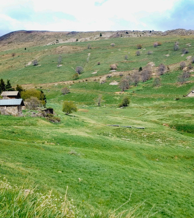 Hameau du Cluy