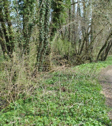 Parours trail vert Saint-Geoire en Valdaine