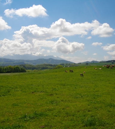 Parcours trail Saint-Sulpice