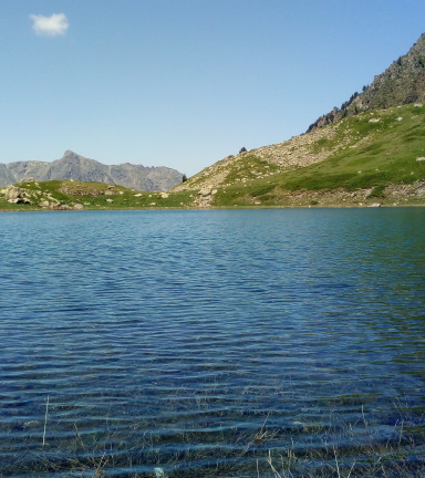 Lac du Rif Bruyant