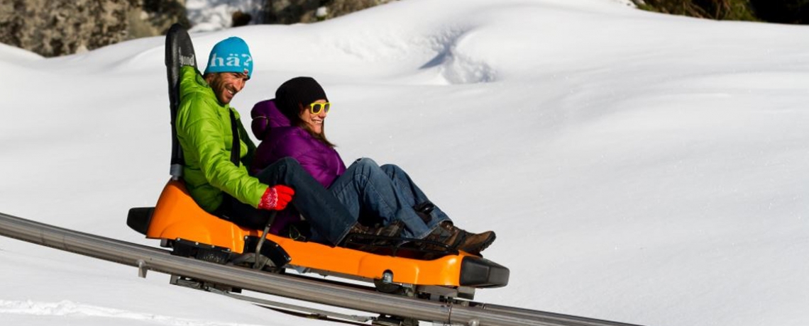 Speed Luge Vercors