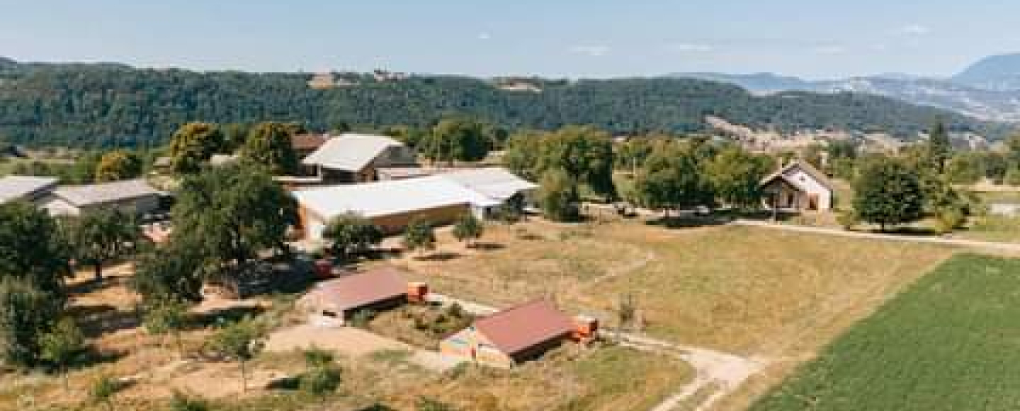 Vente de volailles élevées en plein air à la ferme de la Renounière