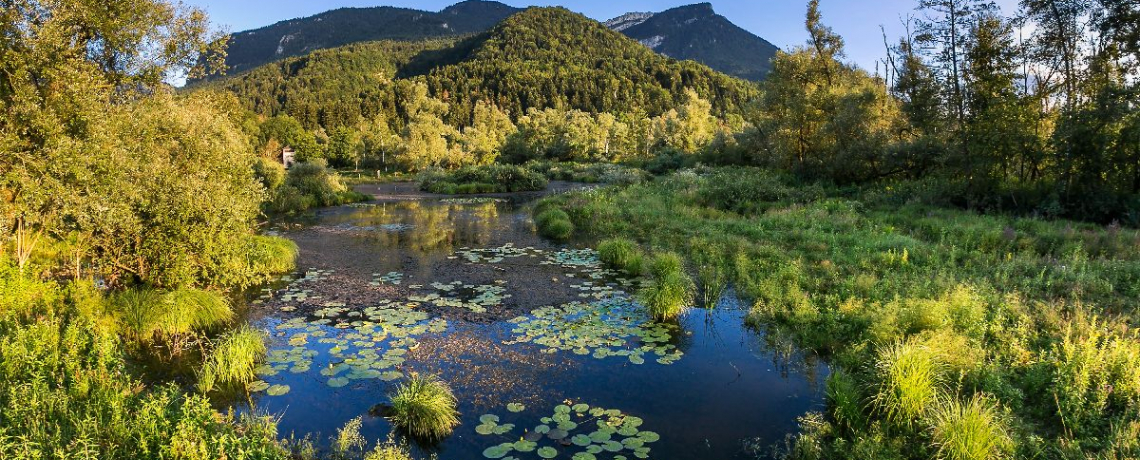 Espace Naturel Sensible des Tourbières de l&#039;Herretang