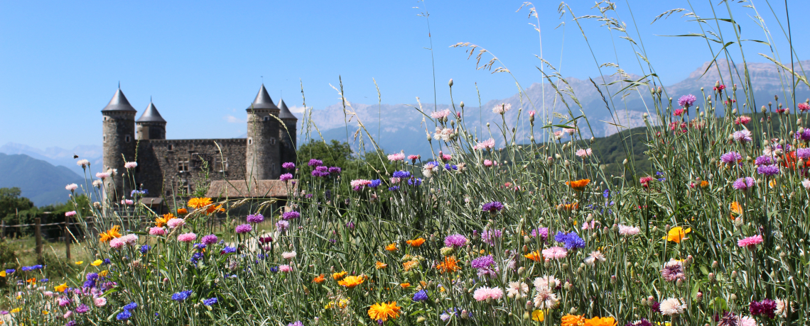 Château  de Bon Repos