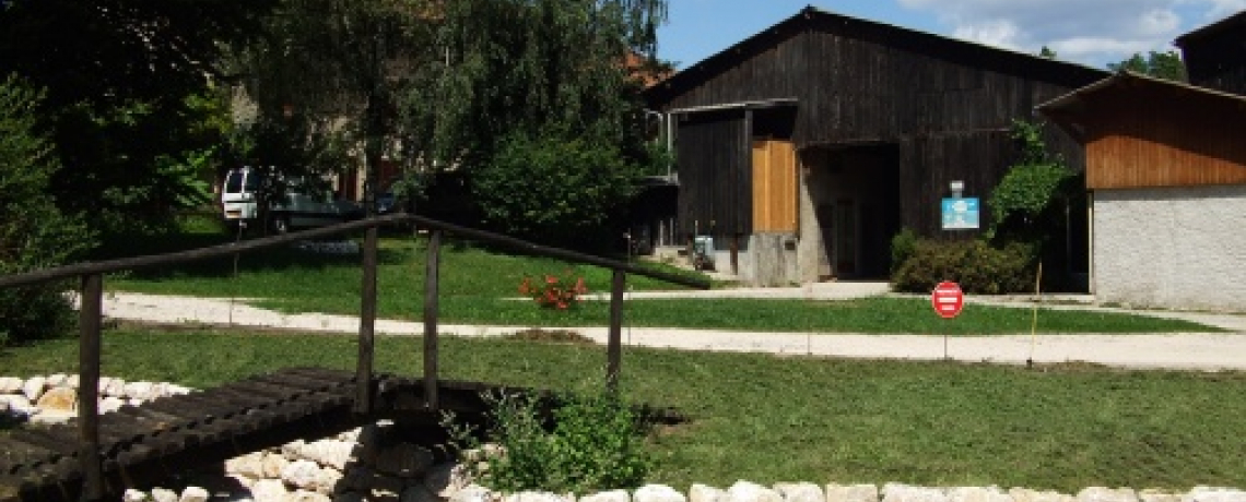 Vente de fromages de vache à la ferme des Prés du Bourg