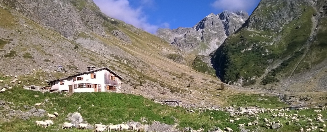 Gîte d&#039;alpage de Combe Madame