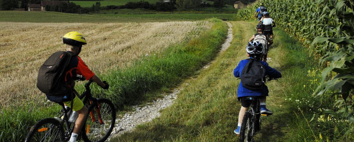 Circuit VTT le champ des vaches