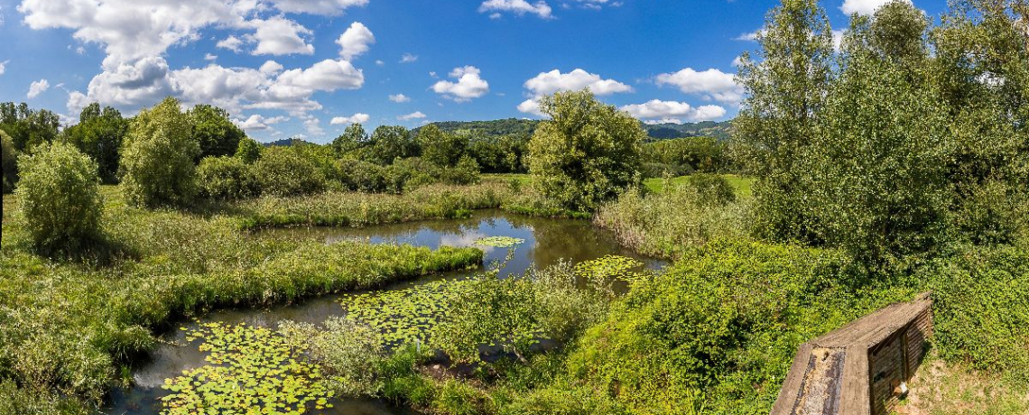 Sentier Boucle des Moles