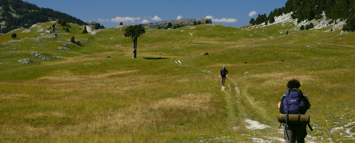 Randonnées sur le Balcon Est du Vercors