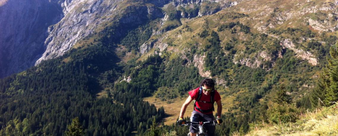 Monte depuis Basse Montagne. Au fond, Le Taillefer