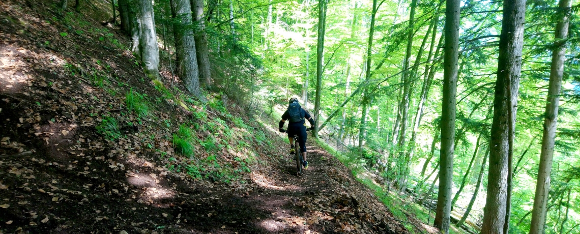 Le chemin de Malaine