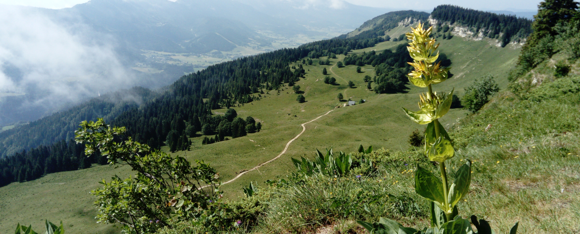 Randonnée de crêtes en vallons - Bureau des Guides