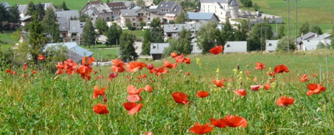 Dcouverte du patrimoine