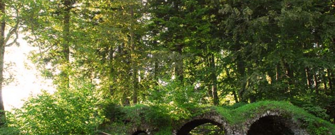 Ruines Chartreuse de Prmol Vaulnaveys le haut