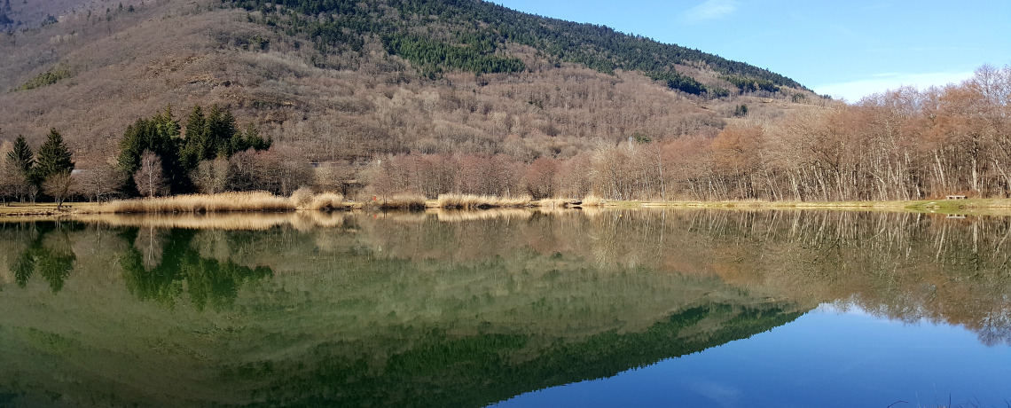 N°01 La Ronde des Crapauds  VTT - Vert