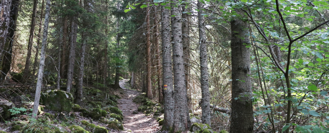 Sentier en fort autour d'Oz-en-Oisans