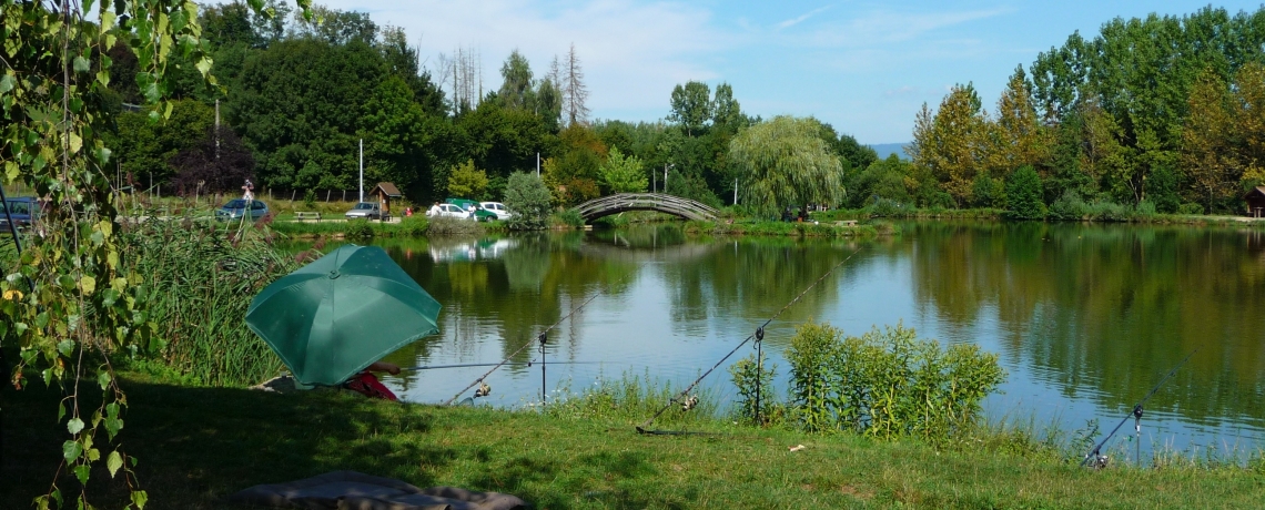 Pêche à l&#039;étang de Tapon