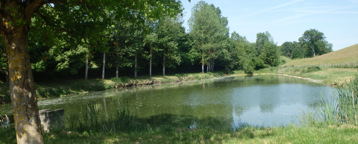 Pêche à l&#039;étang de Refeuille